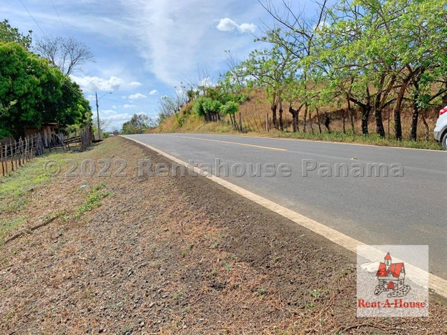 Commercial Property for Sale in Pedasi Los Santos 06065